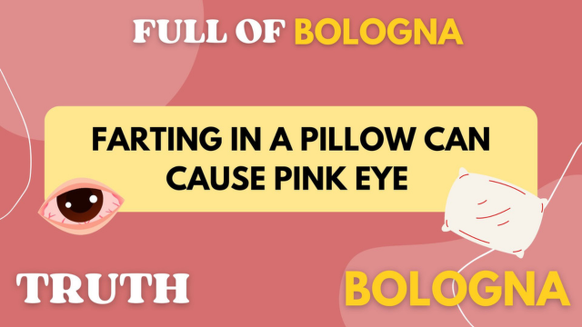 Full of Bologna - Round 2 image number null